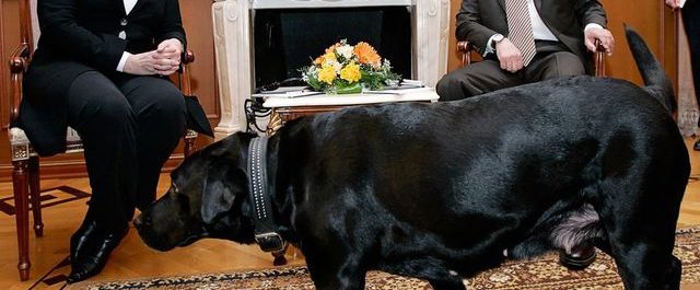 Nicolas Tenzer: Η Ρωσία γίνεται κυρίαρχη δύναμη παγκοσμίως [ανάλυση]