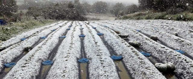 ΕΛΓΑ: Αποζημιώσεις περίπου 9,5 εκατ. ευρώ σε αγρότες για ζημιές