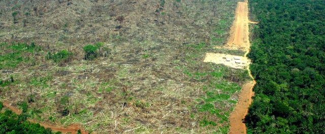 Ερευνητές συνδέουν την αποψίλωση των δασών με το… εισόδημα