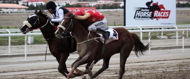 Υψηλό θέαμα και αυτό το Σάββατο στο Μαρκόπουλο από την Ιπποδρομίες ΑΕ