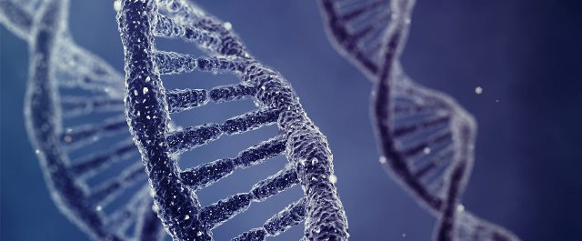 Ανακάλυψη σοκ: Το DNA μπορεί να μετατραπεί σε σκληρό δίσκο