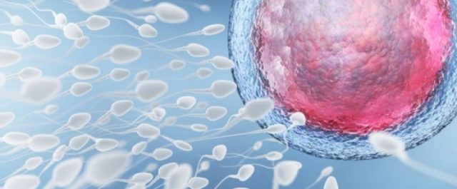 Τεστ ανδρικής γονιμότητας, όπως της… εγκυμοσύνης[εικόνα]