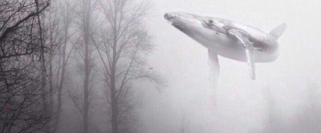 Θανάσιμος κίνδυνος στο διαδίκτυο: Εθιστικό videogame σπρώχνει εφήβους σε αυτοκτονίες