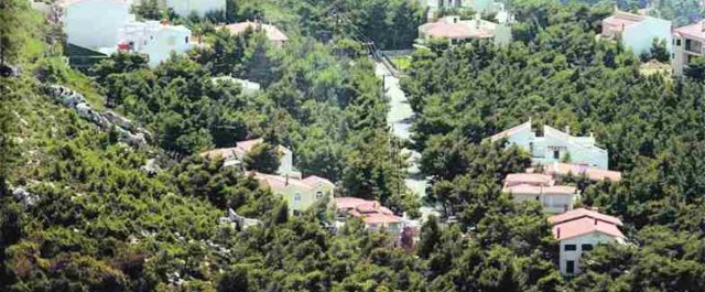 Δασικοί χάρτες: Οι πολίτες θα μπορούν να δηλώσουν ατελώς πρόδηλα σφάλματα