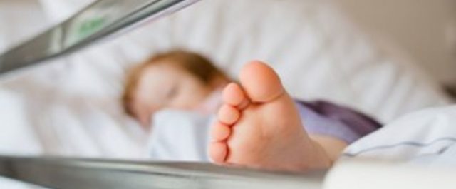 Οχιά δάγκωσε κοριτσάκι το οποίο νοσηλεύεται σε κρίσιμη κατάσταση
