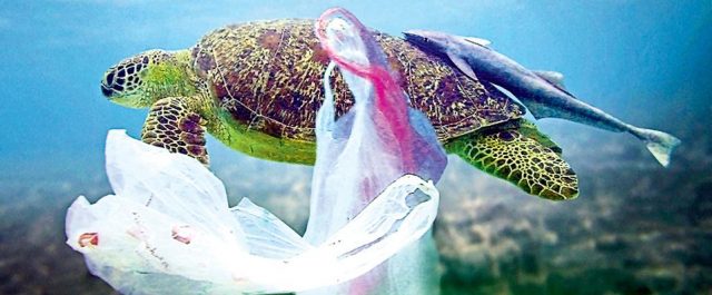 Ένας δισεκατομμυριούχος βάλθηκε να καθαρίσει τον Ωκεανό από τα πλαστικά