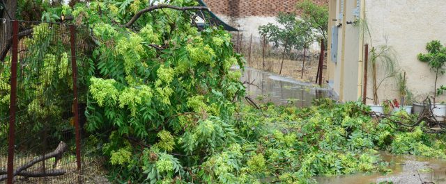 Πλημμύρες και καταστροφές από καταιγίδες και χαλαζοπτώσεις που έπληξαν τη χώρα