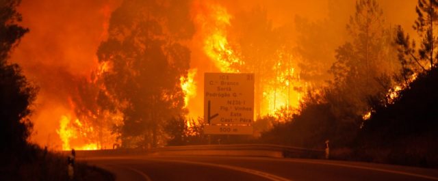 Η Πορτογαλία στις φλόγες- Δασικές πυρκαγιές με δεκάδες νεκρούς