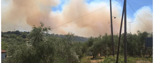 EKTAKTO: Φωτιές σε Κρυονέρι και Μεσσηνία – Συναγερμός στην πυροσβεστική