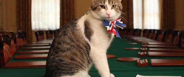 O Larry the Cat μένει στην Downing Street 10…