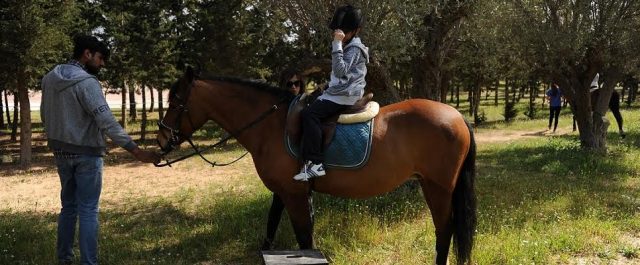 Βόλτες με άλογα στον Ιππόδρομο του Μαρκόπουλου