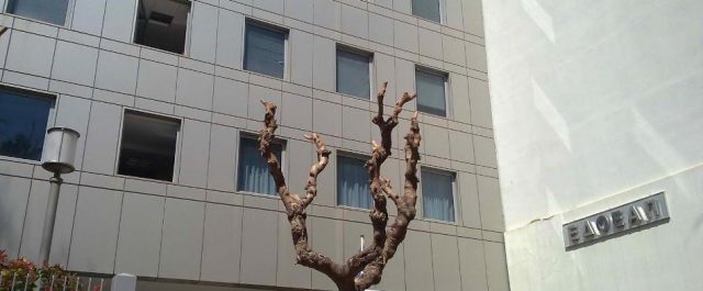 Στο χείλος της κατάρρευσης ο ΕΔΟΕΑΠ – Αδυναμία καταβολής των επικουρικών