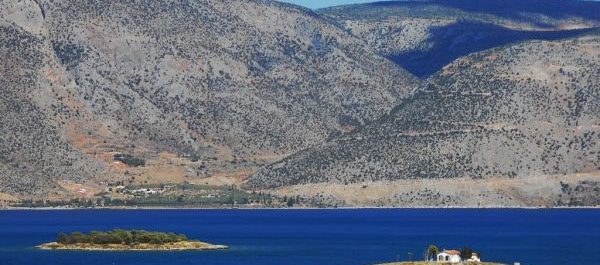 Φωκίδα: Νεαροί εντόπισαν μισοφαγωμένο πτώμα με σφαίρα στο κεφάλι