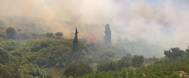 Υπό μερικό έλεγχο οι φωτιές σε Κορώνη- Κρυονέρι, νέα πυρκαγιά στη Μεσσηνία