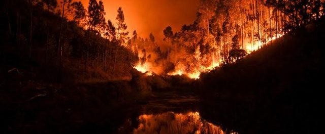 Θρήνος στην Πορτογαλία: Τουλάχιστον 62 οι νεκροί της φωτιάς