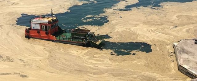 Το πλαγκτόν μετέτρεψε σε βούρκο τον Θερμαϊκό!