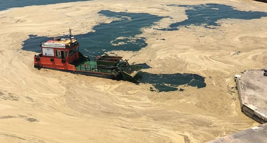 Το πλαγκτόν μετέτρεψε σε βούρκο τον Θερμαϊκό!