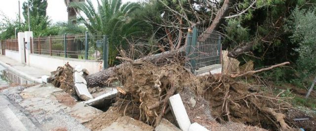 Τι άλλο θα ζήσουμε; Ανεμοστρόβιλος στα Τρίκαλα![εικόνες, video]