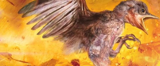 Ανακάλυψη στην Κίνα: Πτηνό 99 εκατομμυρίων ετών!