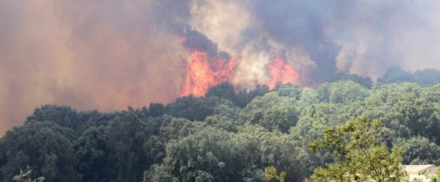 Φλέγεται ο γαλλικός νότος – Στάχτη χιλιάδες στρέμματα, απειλούνται σπίτια