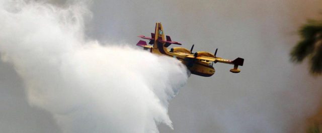 Υπό μερικό έλεγχο η φωτιά στο Κρυονέρι Αττικής – Σε επιφυλακή η πυροσβεστική