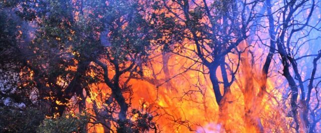 Μεγάλη φωτιά ξέσπασε στην Κέρκυρα