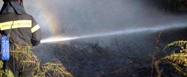 Ξάνθη: Υπό έλεγχο η φωτιά στο δάσος του Νέστου