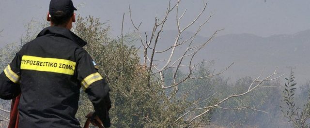 Πυρκαγιά στον Ωρωπό – Δεν κινδυνεύουν σπίτια