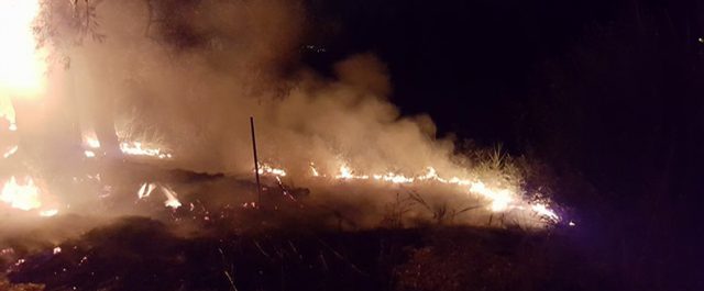 Ζάκυνθος: Εκτός ελέγχου η φωτιά, καμένα πάνω από 1.000 δασικά στρέμματα [εικόνες]