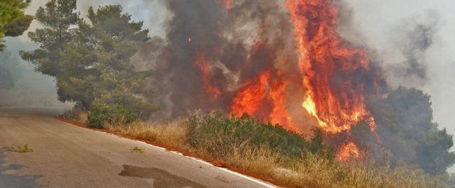 Πολύ υψηλός ο κίνδυνος πυρκαγιάς αύριο σε τρεις Περιφέρειες