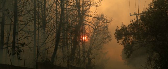 Ειδικοί: Θα χρειαστούν 30 χρόνια για την αποκατάσταση της καμένης γης – Οι επιπτώσεις