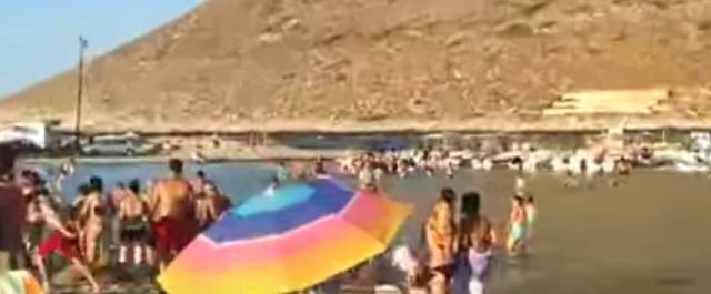 Χανιά: Πανικός από φίδι μισού μέτρου στη θάλασσα!