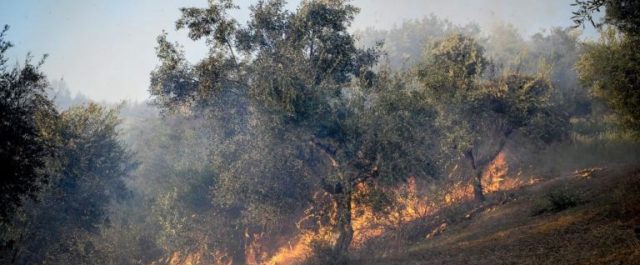 Ας μην ξαναζήσουμε το 2007: Η φωτιά κατευθύνεται στην αρχαία Ολυμπία [εικόνα]
