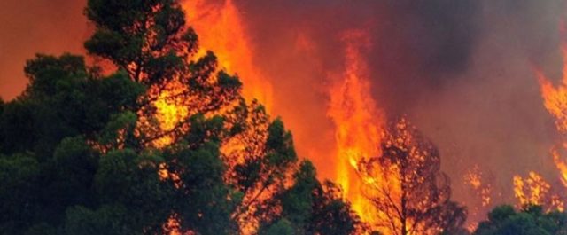 Προσαγωγή υπόπτου για εμπρησμό στην Πάρνηθα, γιατί δεν βοηθά η Γαλλία