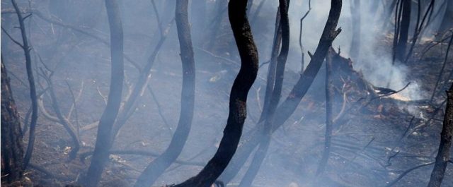 Οι άμεσες κινήσεις μέχρι αρχές Οκτωβρίου για την ανατολική Αττική