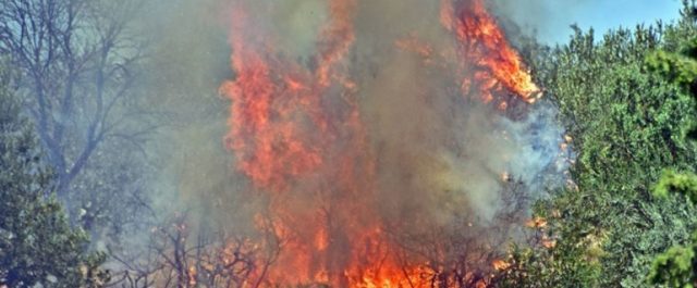 Φωτιές σε Κορωπί, Ζάκυνθο και Ιεράπετρα
