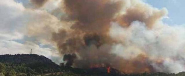 Μυστηριώδεις φωτιές στο Μαραθώνα μπορεί να συνδέονται με σχέδιο εμπρηστών
