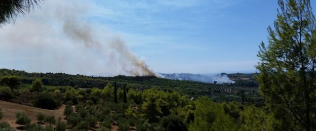 Νέο μέτωπο: Σε κατοικημένη περιοχή οδεύει φωτιά στην Αμαλιάδα!