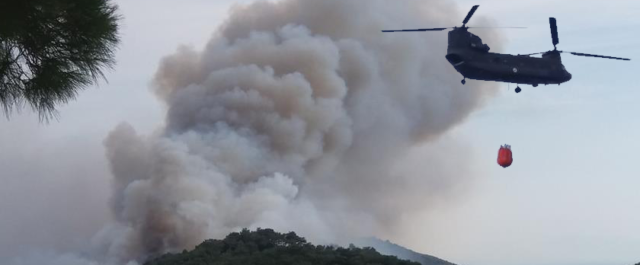 Λέσβος: Ολονύχτια μάχη με τις φλόγες, καλύτερη η κατάσταση το πρωί παντού [video+ εικόνες]
