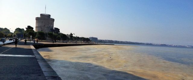 “Άμεση κι αποτελεσματική παρέμβαση για την περισυλλογή του πλαγκτόν στο λιμάνι της Θεσσαλονίκης”