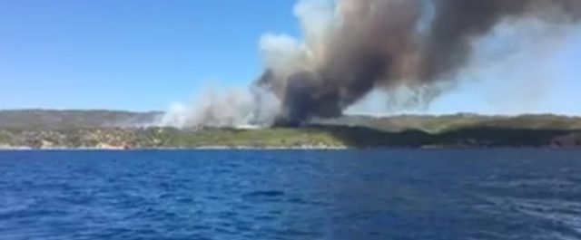 Δυναμώνει η φωτιά στις Σπέτσες, περιορίστηκε στην Ανάβυσσο