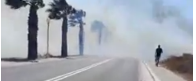 Απειλούνται σπίτια από φωτιά κοντά στην πόλη της Ρόδου