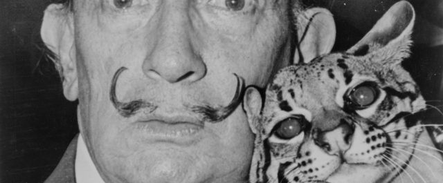 Τζάμπα η εκταφή, δεν είναι κόρη του Νταλί η 62χρονη Ισπανίδα που πολύ θα το ήθελε!