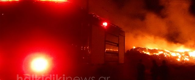 “Στο πόδι” Πυροσβεστική και κάτοικοι στη Χαλκιδική για τη μεγάλη πυρκαγιά
