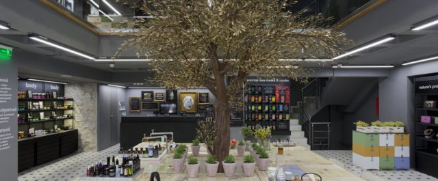 APIVITA: Μια ηγετική, πράσινη, καινοτόμα επιχείρηση