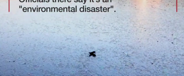 Τουλάχιστον 25 ημέρες θα χρειαστούν για να καθαρίσει ο Σαρωνικός [video, εικόνες]