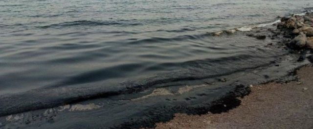 Γέμισαν μαζούτ οι ακτές από την Κυνοσούρα έως τα Σελήνια στη Σαλαμίνα