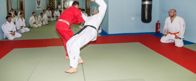 Η ΑΑΔΕ παρέχει δωρεάν μαθήματα αυτοάμυνας στους ελεγκτές της!