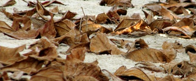 Φθινόπωρο για τα καλά!