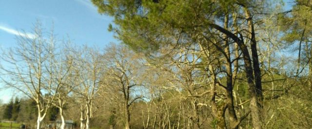 Λιακάδα σε όλη τη χώρα και την Παρασκευή!